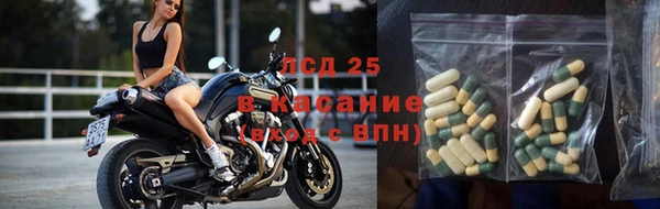 дживик Белокуриха