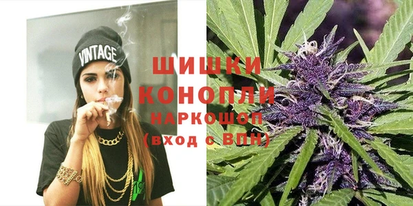 дживик Белокуриха