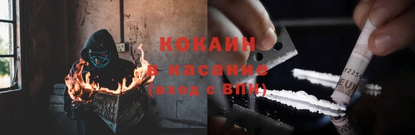 дживик Белокуриха