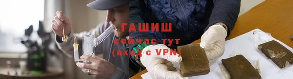 дживик Белокуриха