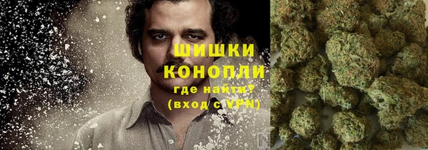 дживик Белокуриха