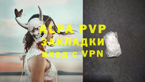 дживик Белокуриха