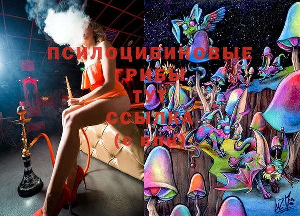 тгк Беломорск