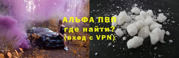 дживик Белокуриха
