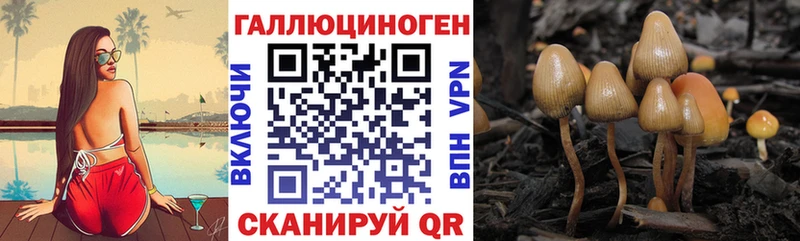 Псилоцибиновые грибы MAGIC MUSHROOMS  Зея 